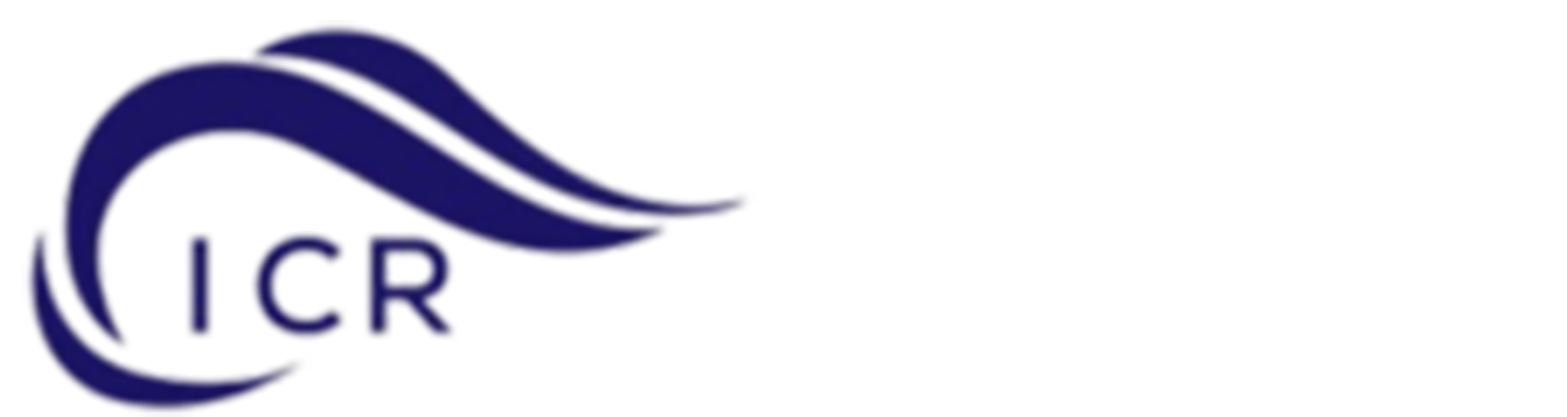 Insha CarpetS and Rugs